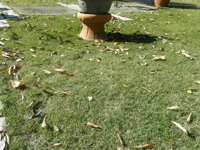 c0139168_15131120.jpg