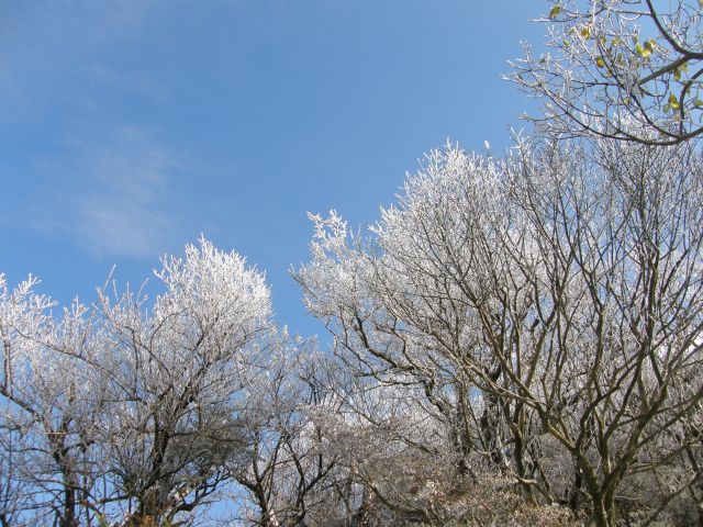 c0042869_1605557.jpg