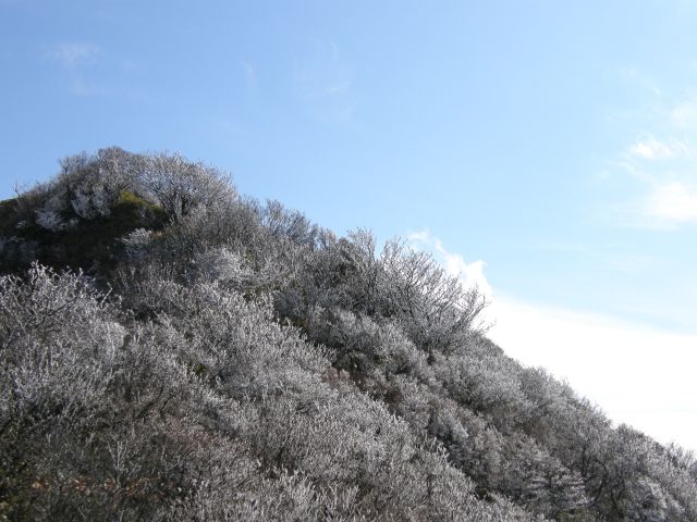 c0042869_165248.jpg