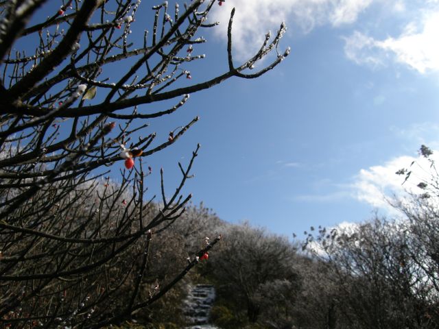 c0042869_1681952.jpg