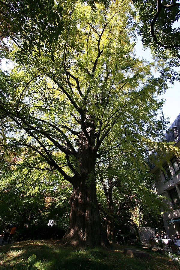 b0084270_047213.jpg