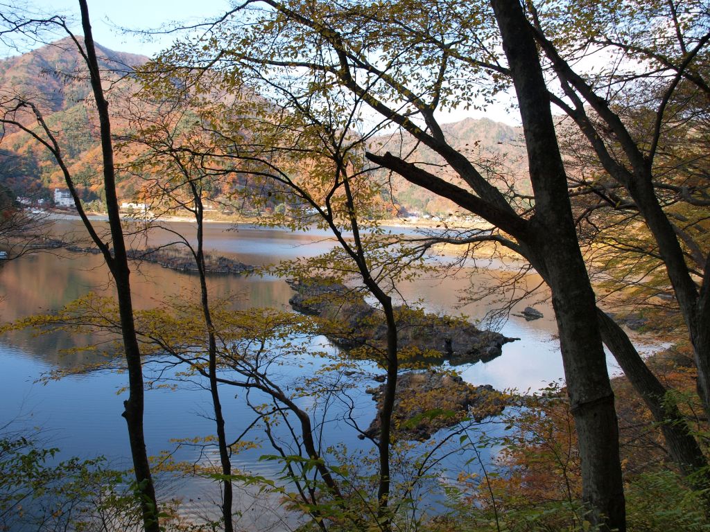 f0040670_1630156.jpg