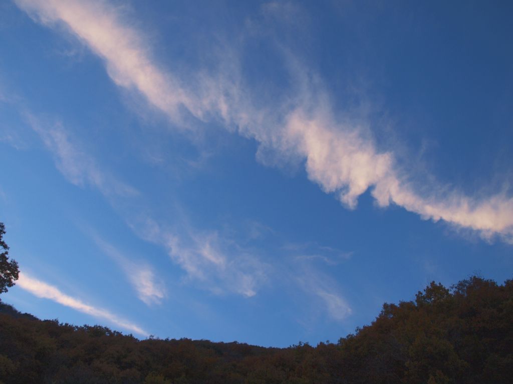 f0040670_1631653.jpg