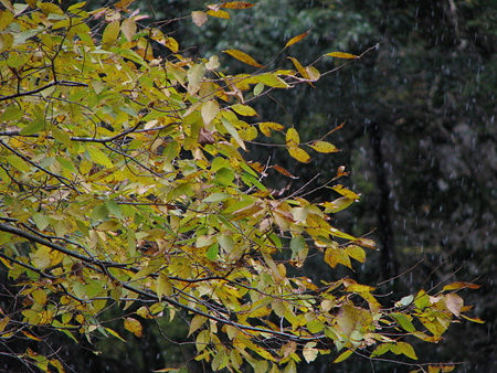 c0104371_10523160.jpg