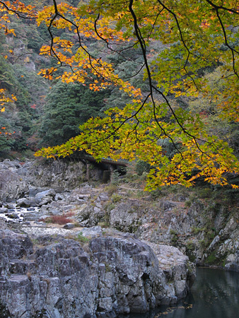 c0104371_10541344.jpg