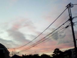 b0134673_1885698.jpg