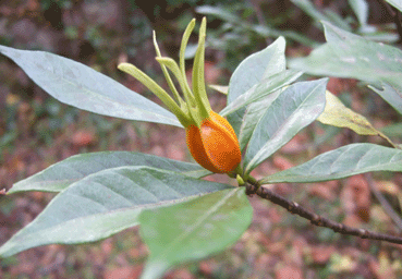 b0159780_23255027.gif