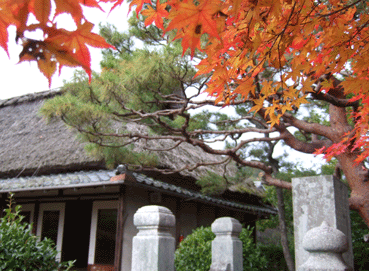 b0159780_23372489.gif