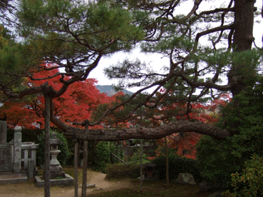 b0159780_23384652.gif
