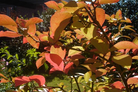 c0135480_065277.jpg