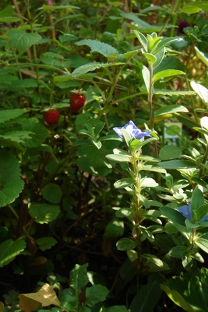 c0135480_23494174.jpg