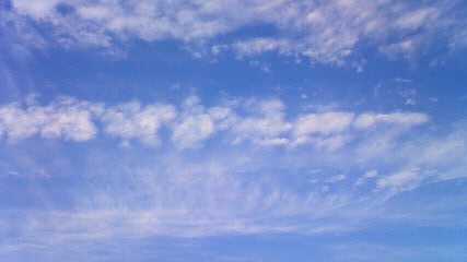 d0056881_20131854.jpg