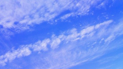 d0056881_2013650.jpg