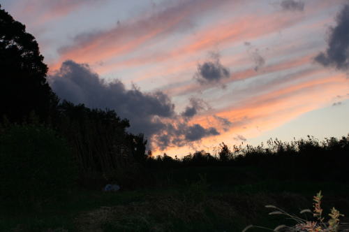 b0136683_15562441.jpg