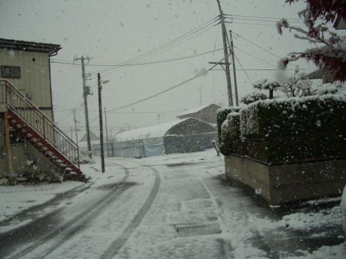 b0124693_12502513.jpg