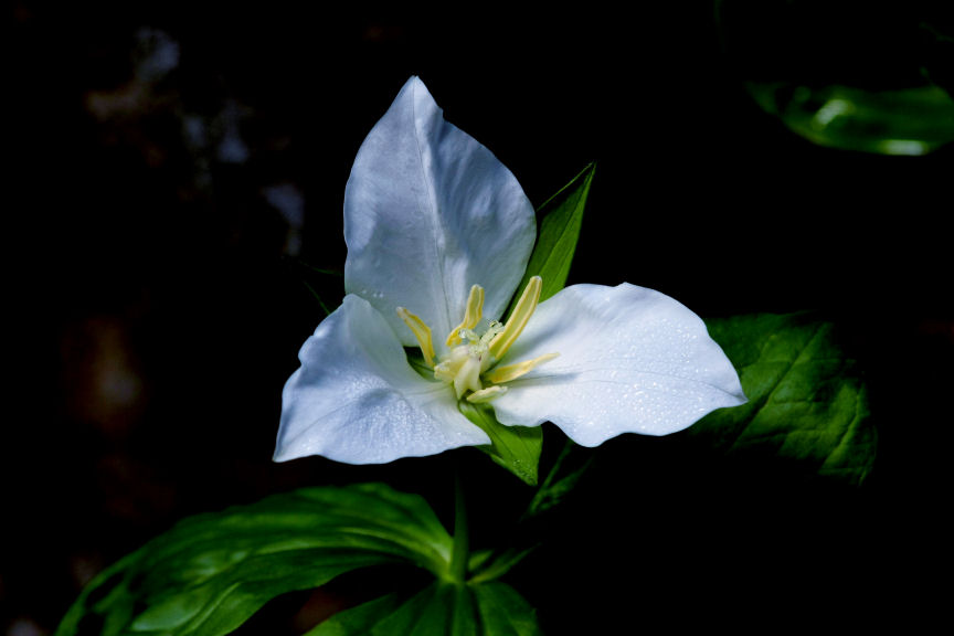 f0195893_81040100.jpg