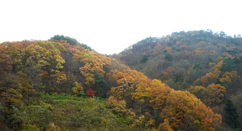 b0099994_18192128.jpg