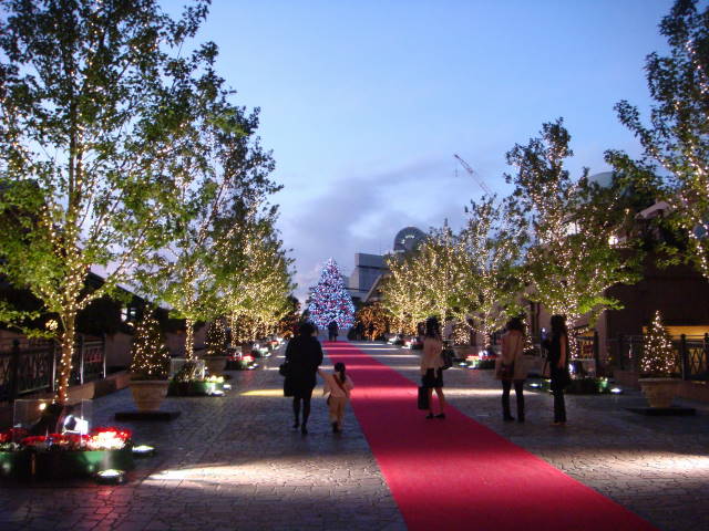 d0098295_1841884.jpg