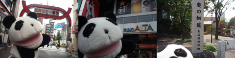 e0015195_1133096.jpg