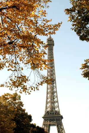 c0090198_4583726.jpg