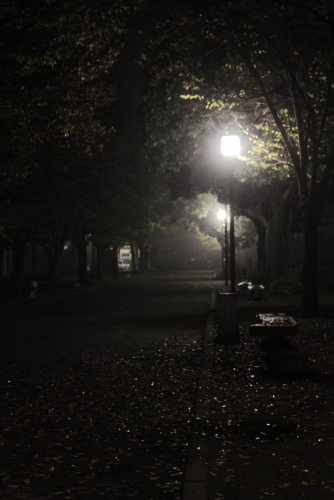 c0129498_176481.jpg