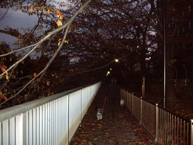 c0138198_14321134.jpg