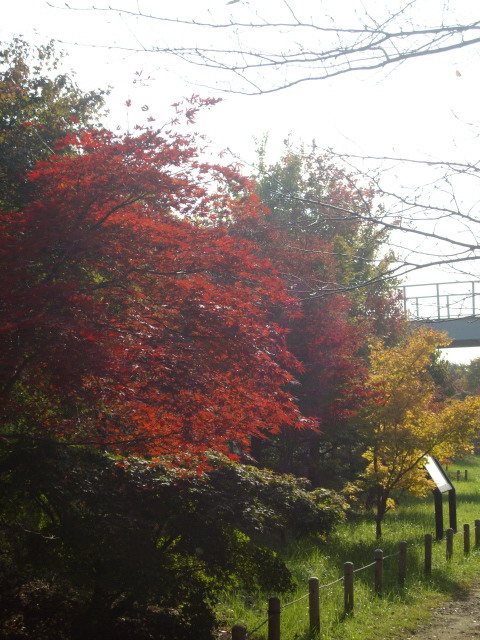 c0138198_1440081.jpg