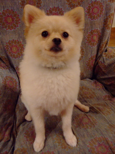 f0001698_2362169.jpg