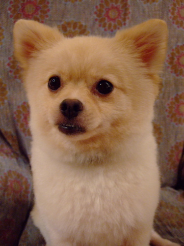f0001698_237181.jpg