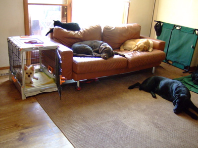 f0001698_242637.jpg