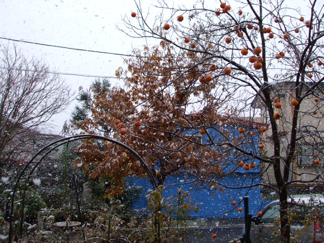 f0019498_15425173.jpg