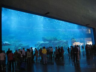 b0142203_2472092.jpg