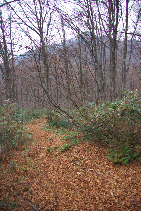 e0162105_19471480.jpg