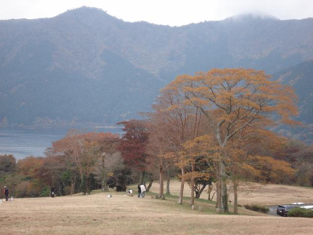 f0084806_6503987.jpg