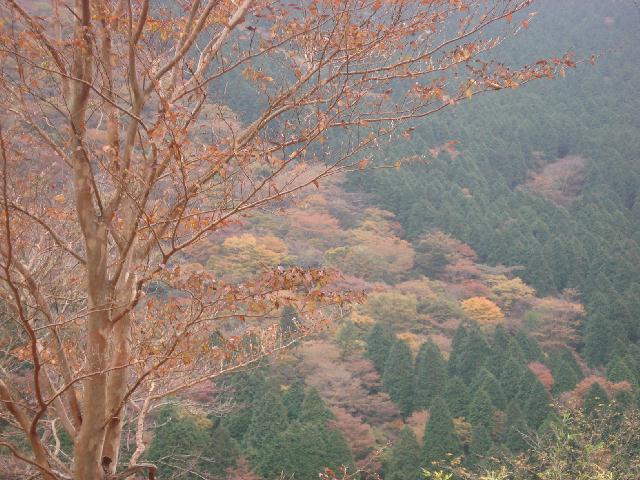 f0084806_6564010.jpg