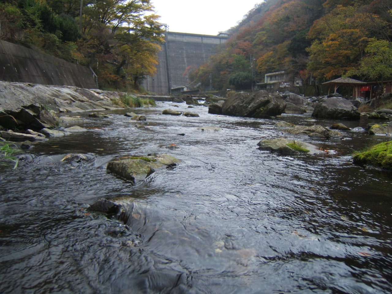 f0079411_16144264.jpg