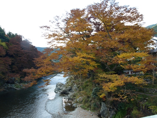 e0083212_1543366.jpg