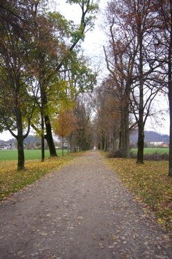 c0167813_6321245.jpg