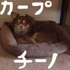 c0036617_19273077.jpg