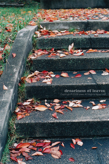 e0146919_12574594.jpg