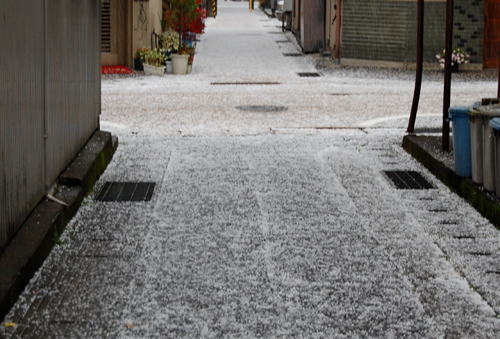 a0041925_046332.jpg