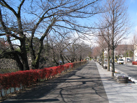 d0004426_12283623.jpg