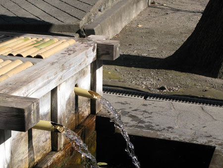 d0004426_12291556.jpg
