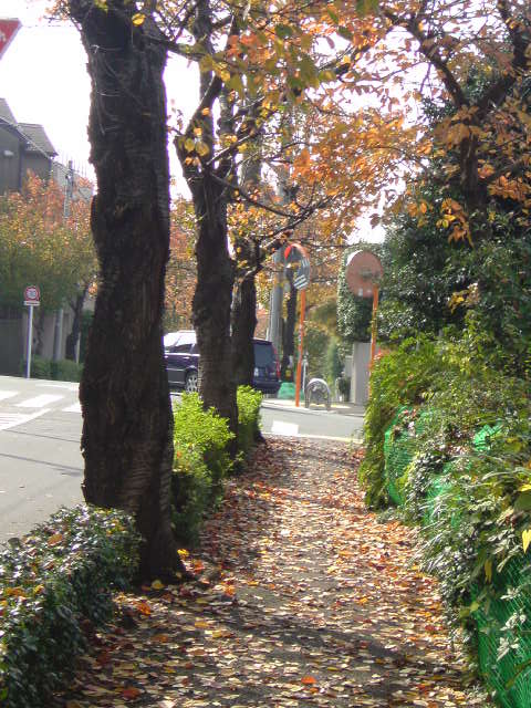 e0016828_75914.jpg