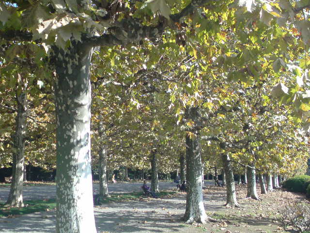 e0016828_832736.jpg