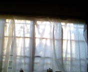 f0146828_3152484.jpg
