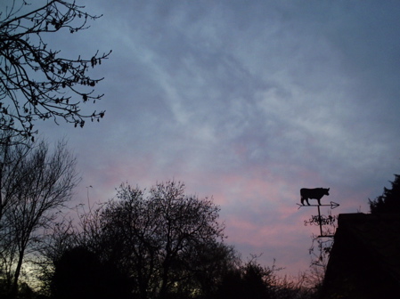 f0165831_133273.jpg