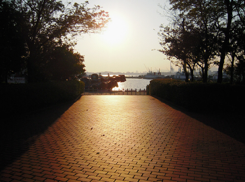 d0017632_14421438.jpg
