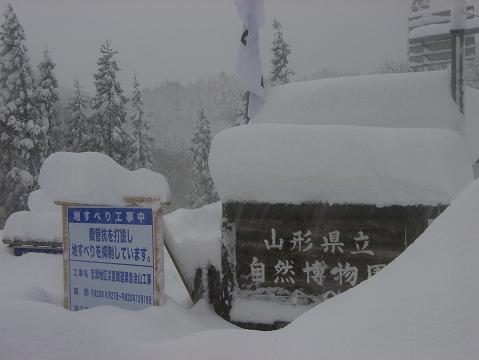 f0118332_21534057.jpg