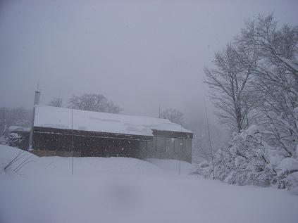 f0118332_22125980.jpg